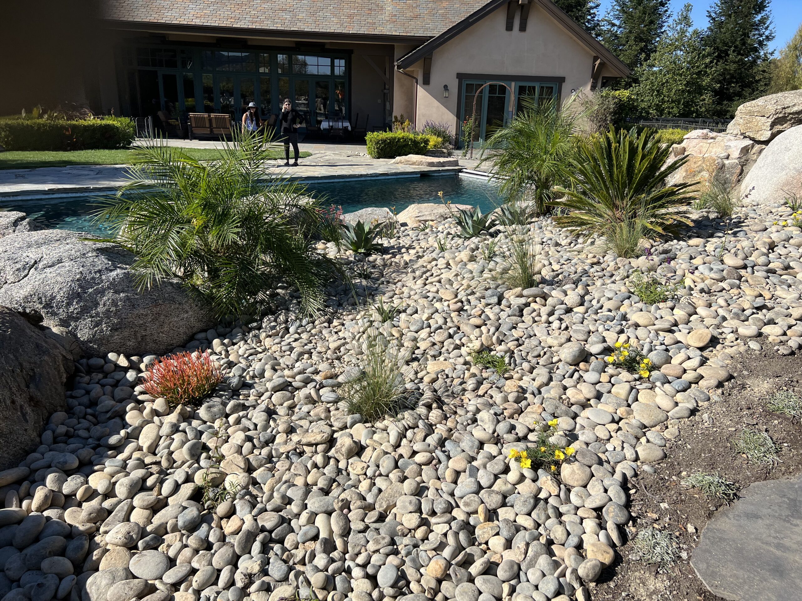 River-rock dryscape around pool