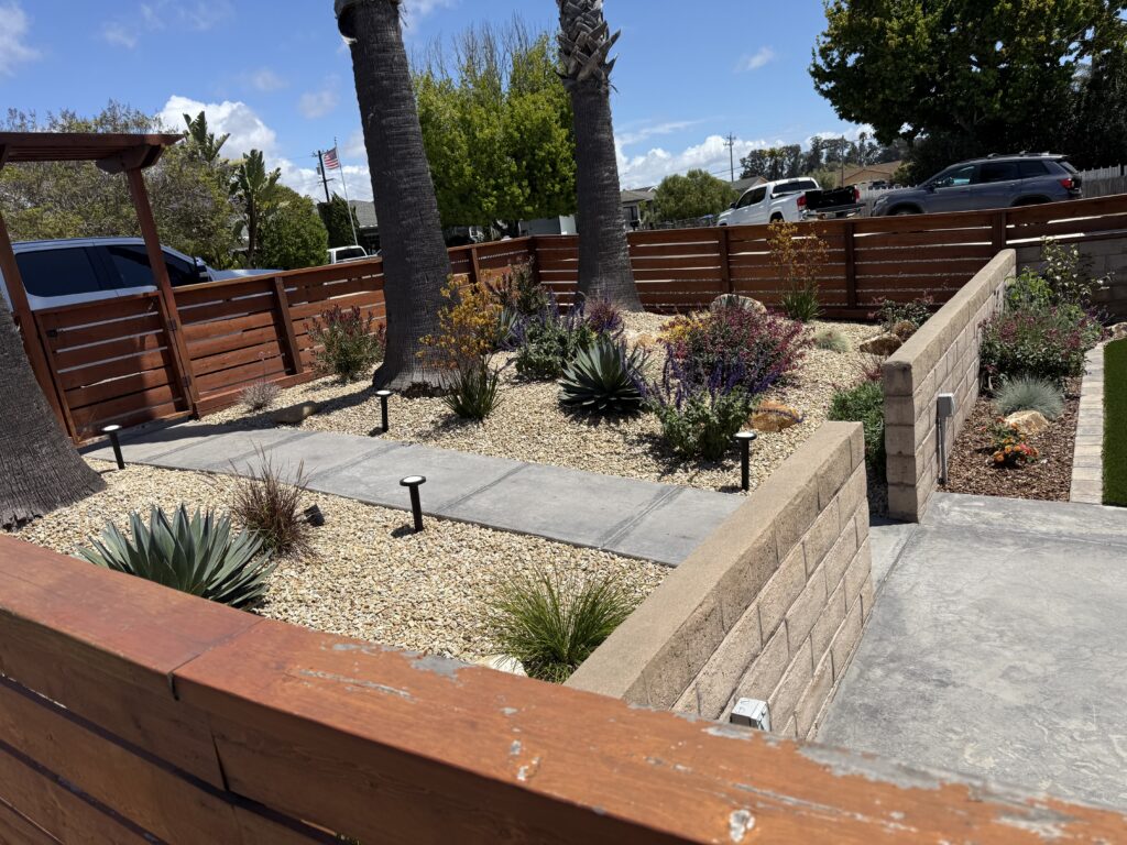 Dryscape & Drought-Tolerant project by Golden 1 Landscape