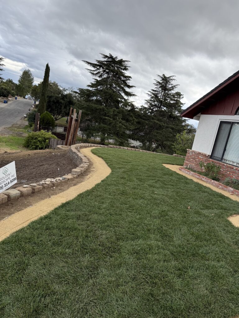 Sod & Natural Lawns project by Golden 1 Landscape